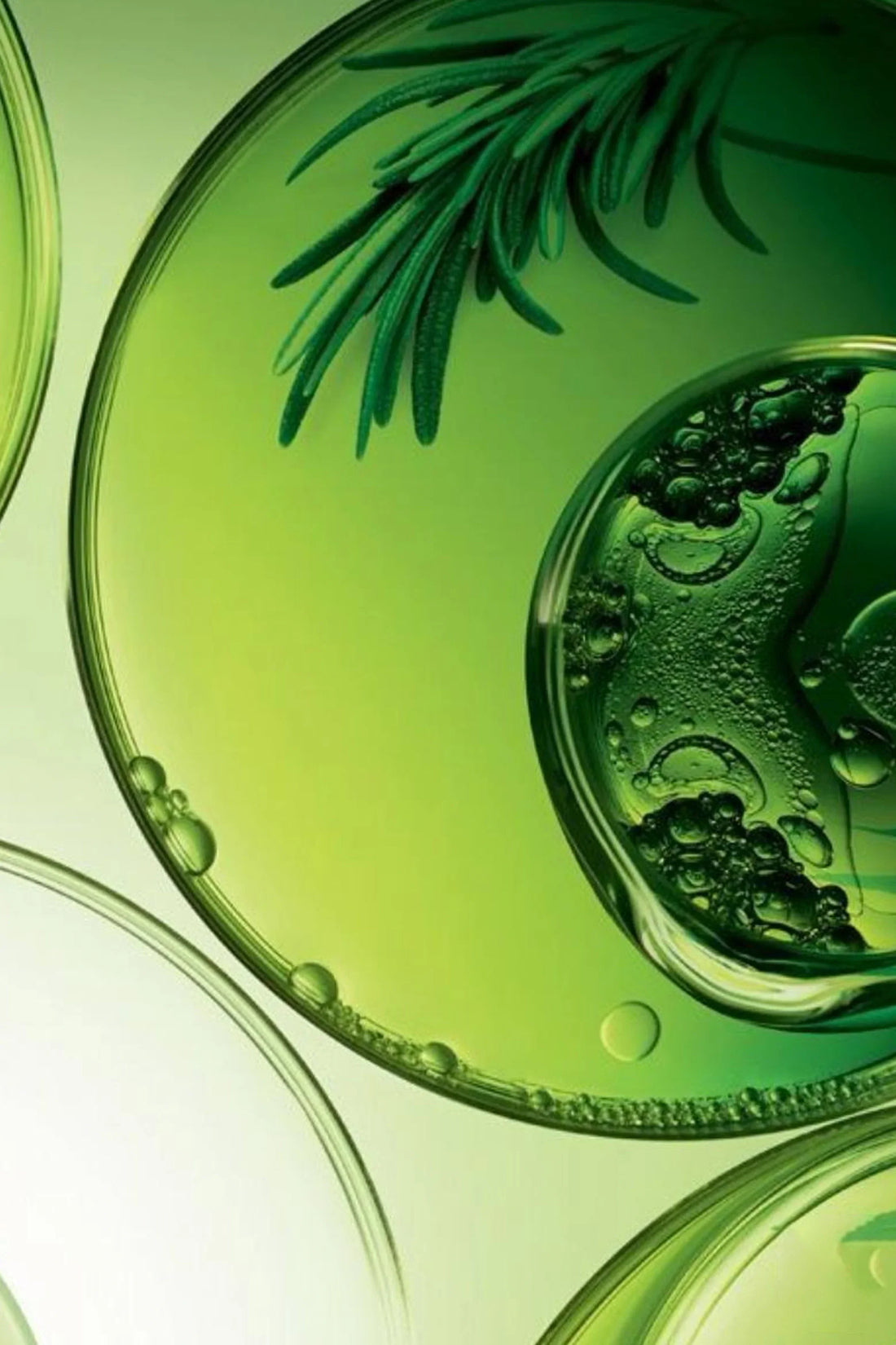 Capsule Technology in Skincare: Why It’s Better